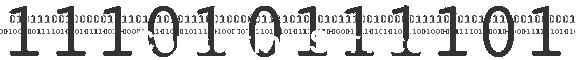 Consulting Services
