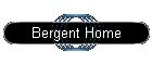 Bergent Home