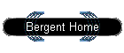 Bergent Home