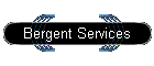 Bergent Services